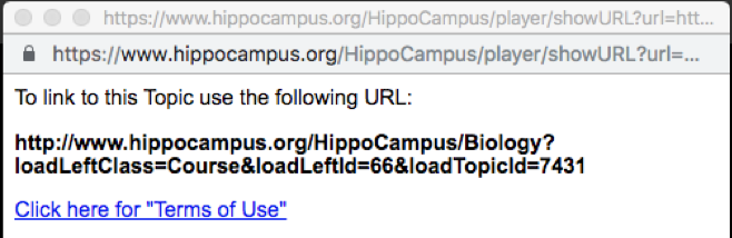 Screenshot of a pop up window showing the resource's URL
